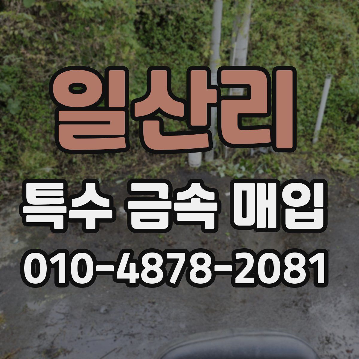 일산리 특수 금속 매입