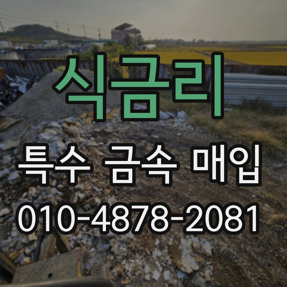 식금리 특수 금속 매입