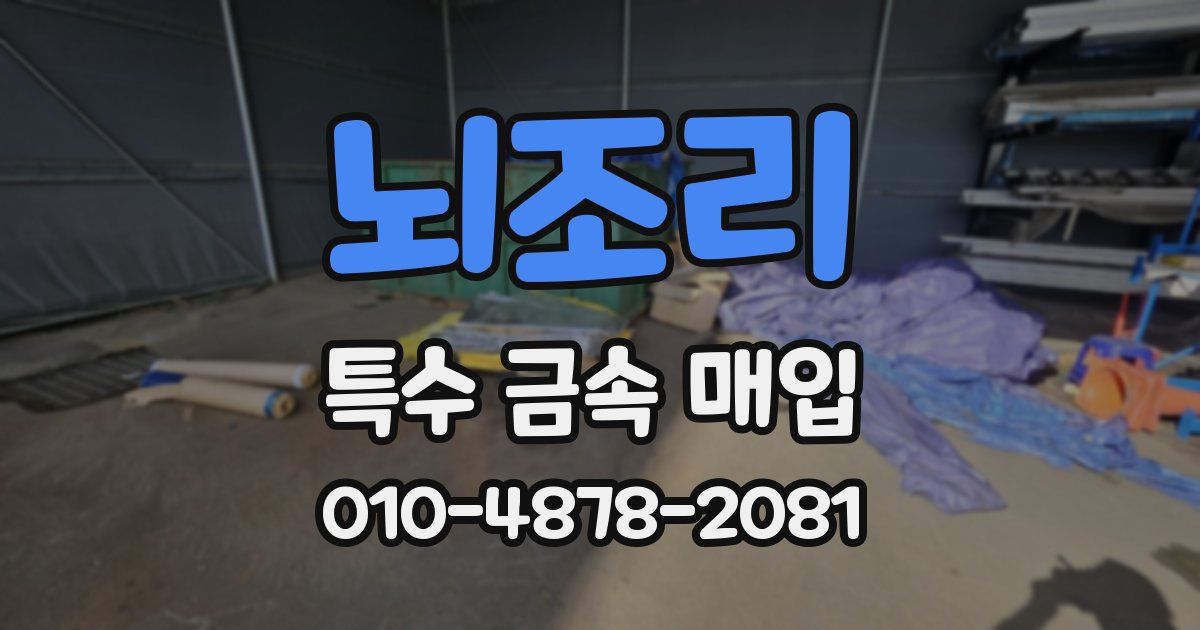 뇌조리 특수 금속 매입