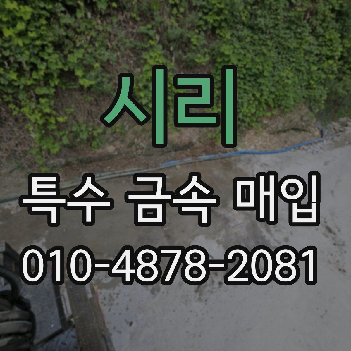 시리 특수 금속 매입