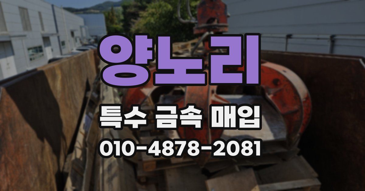 양노리 특수 금속 매입