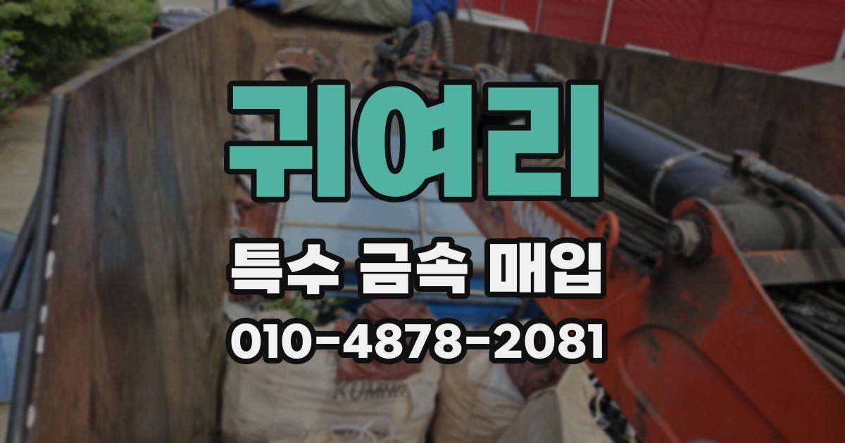 귀여리 특수 금속 매입