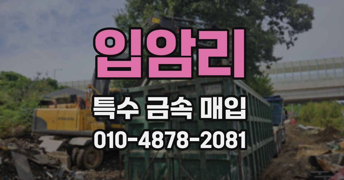 입암리 특수 금속 매입