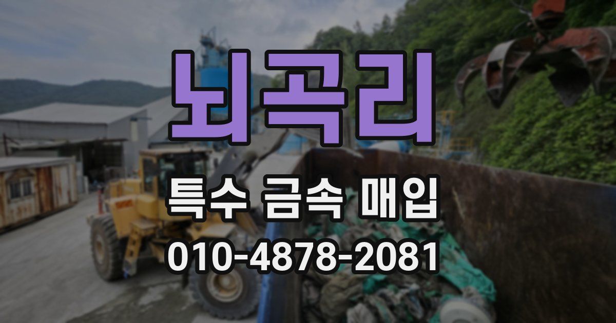 뇌곡리 특수 금속 매입