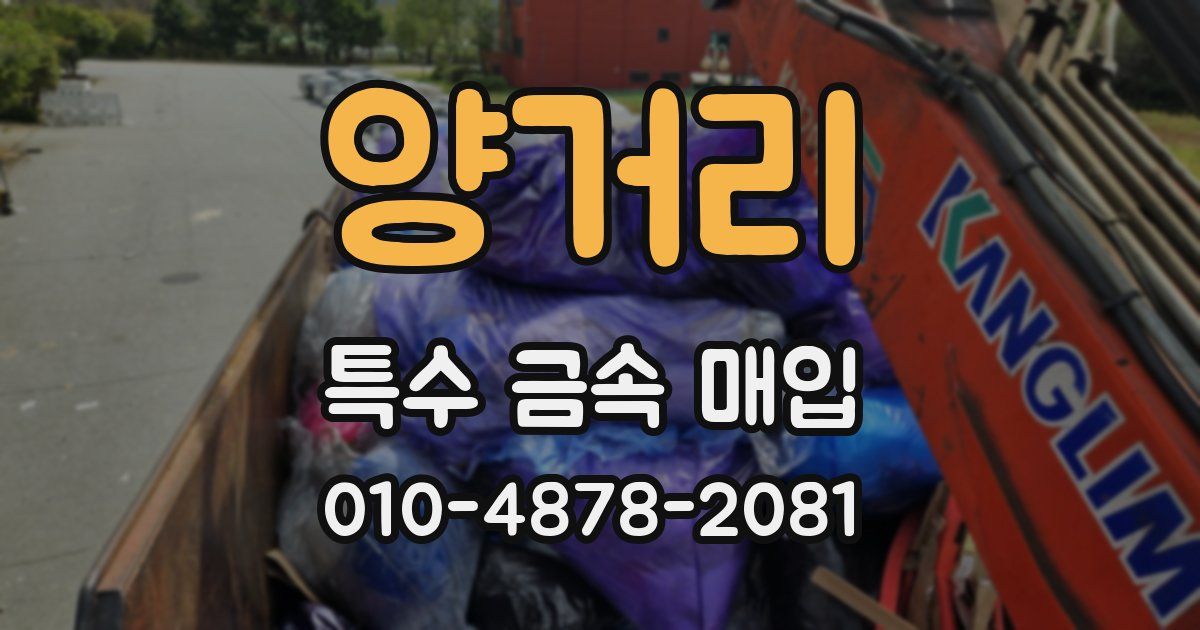 양거리 특수 금속 매입