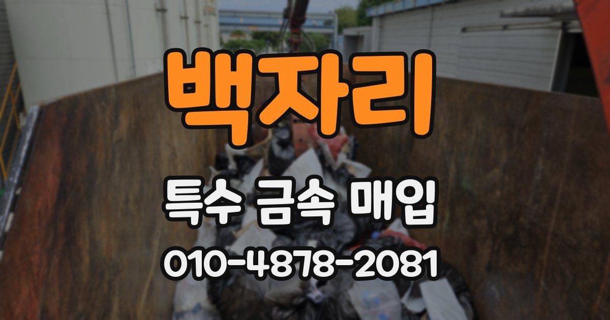 백자리 특수 금속 매입