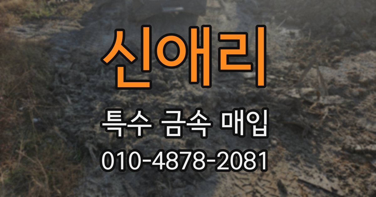 신애리 특수 금속 매입