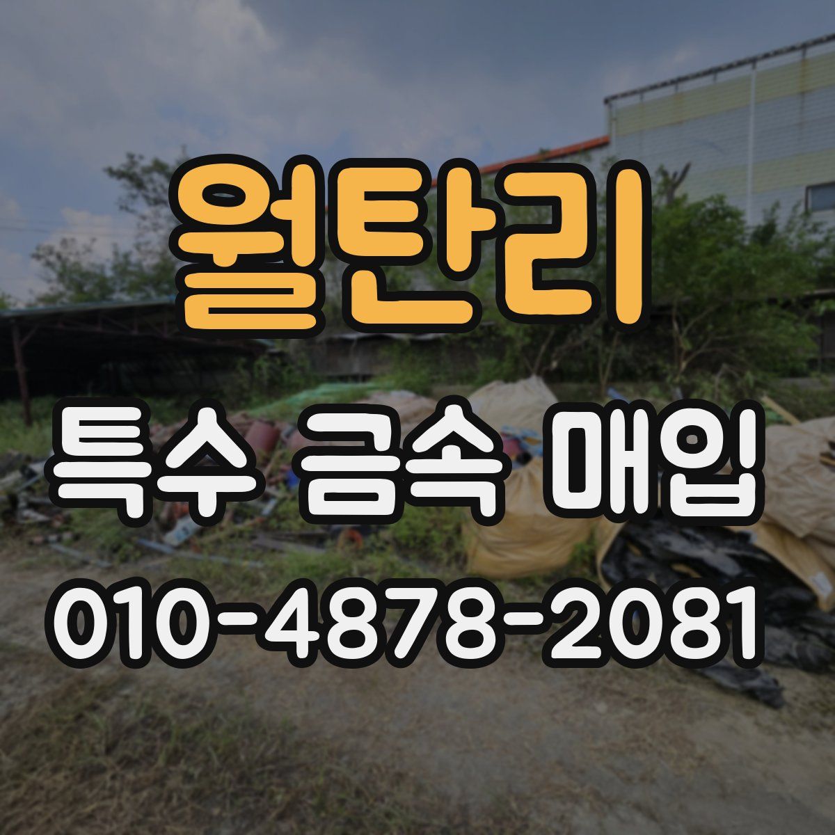 월탄리 특수 금속 매입