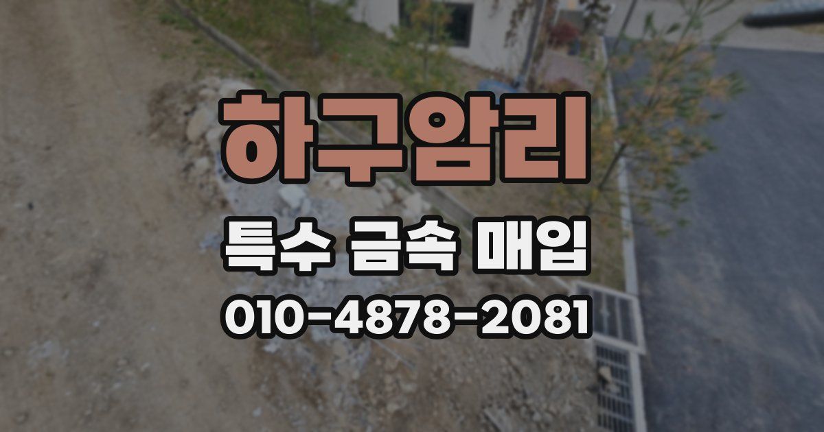 하구암리 특수 금속 매입