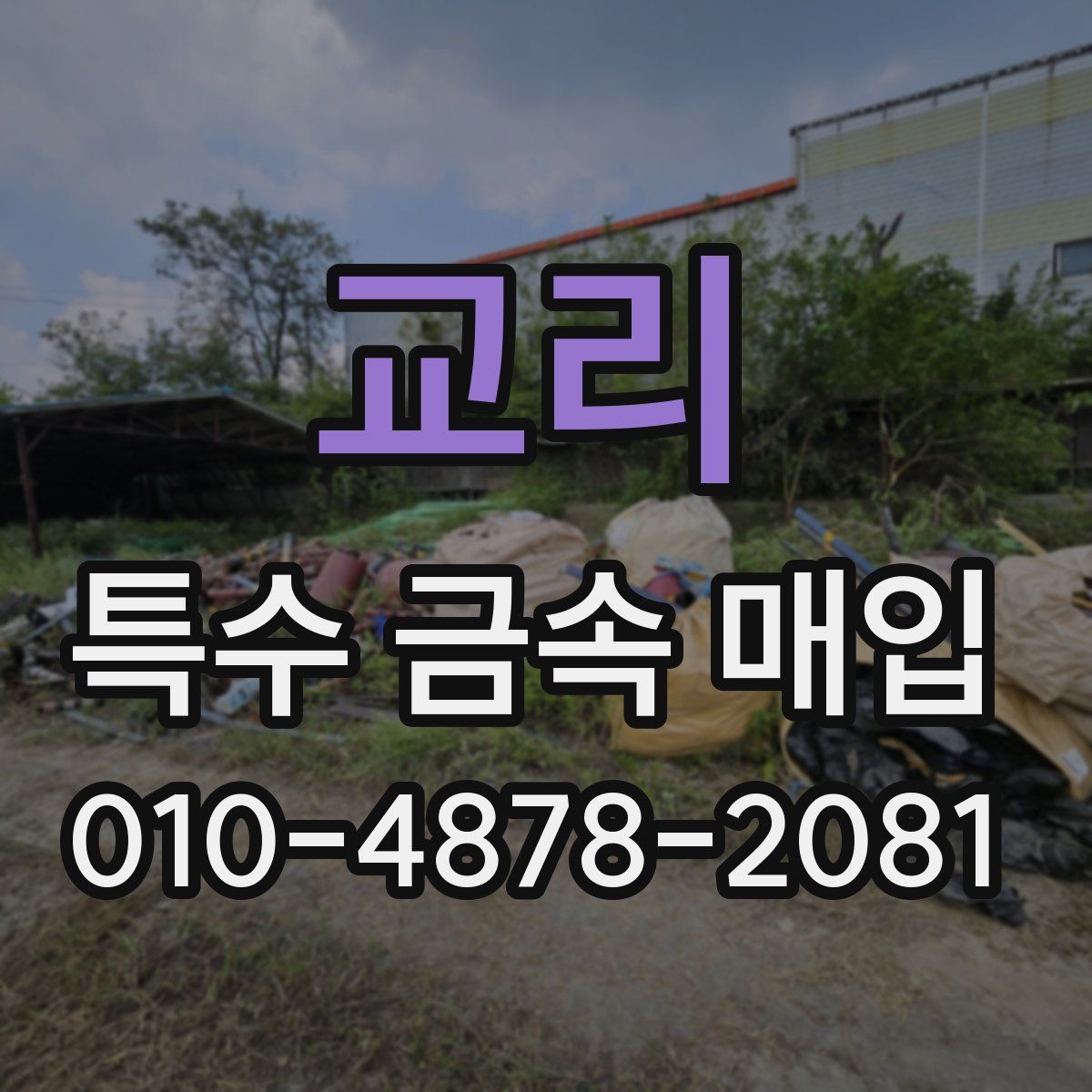교리 특수 금속 매입