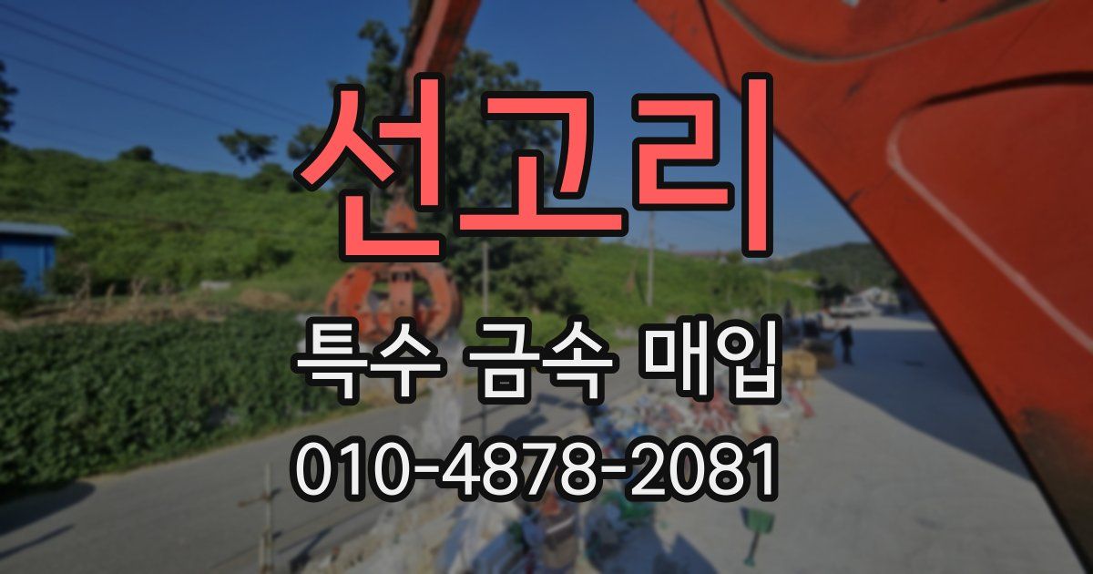 선고리 특수 금속 매입