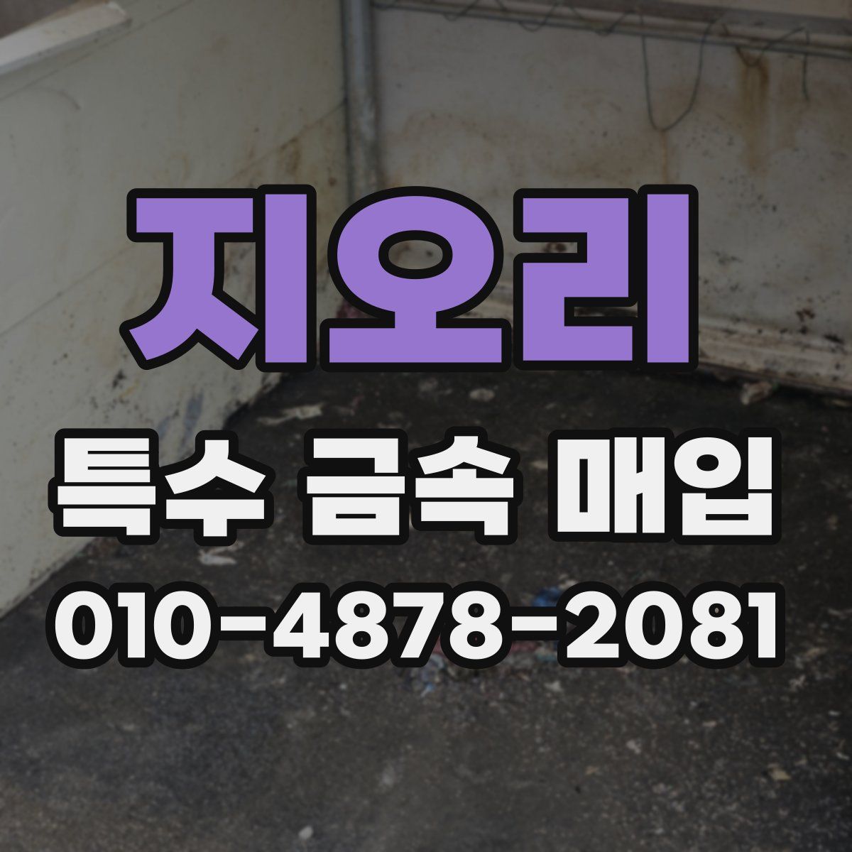 지오리 특수 금속 매입