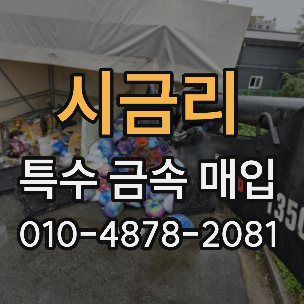 시금리 특수 금속 매입