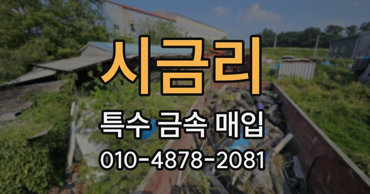 시금리 특수 금속 매입