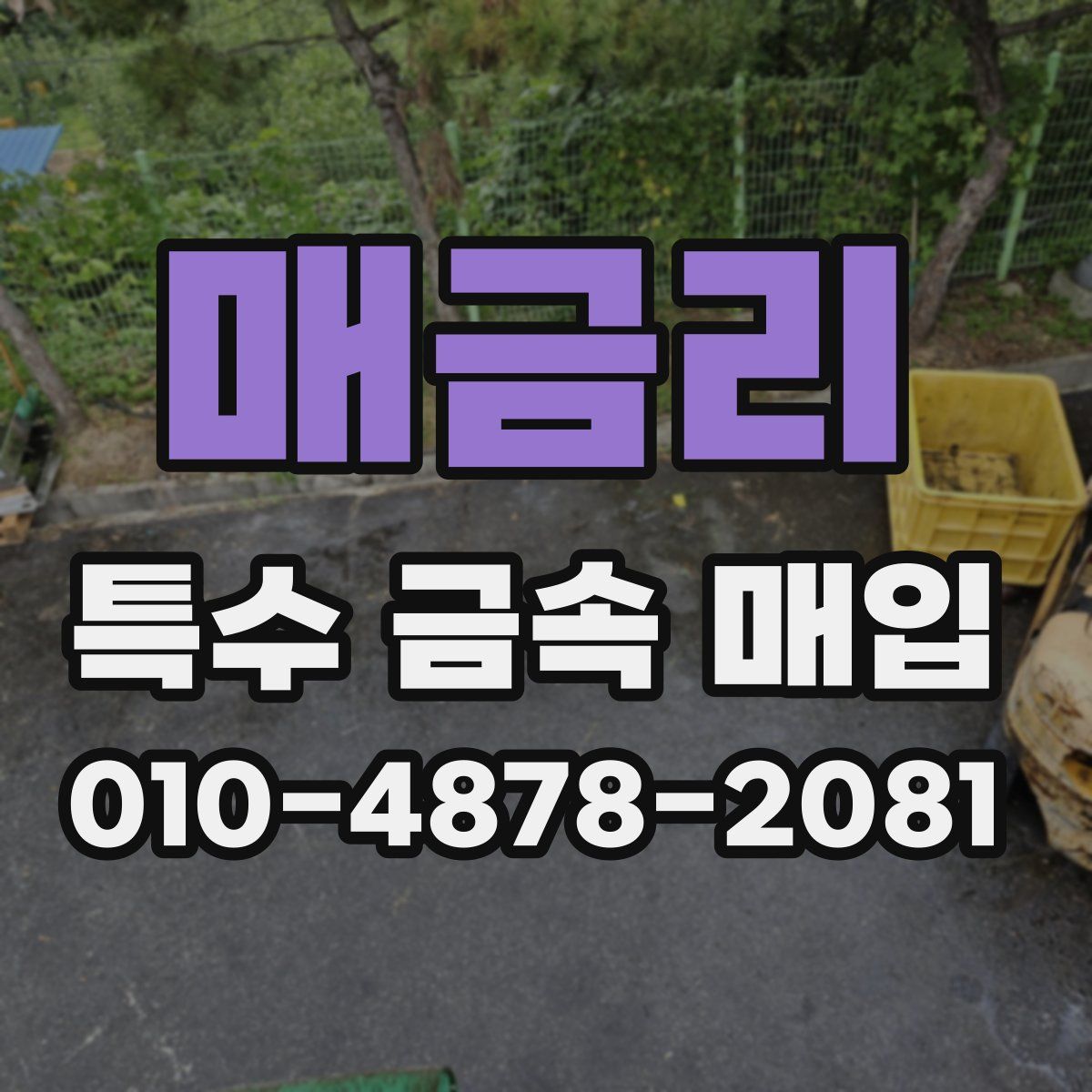 매금리 특수 금속 매입