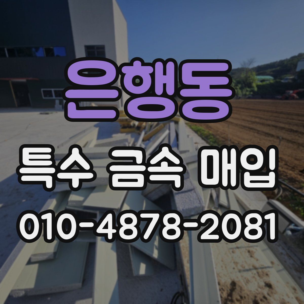 은행동 특수 금속 매입