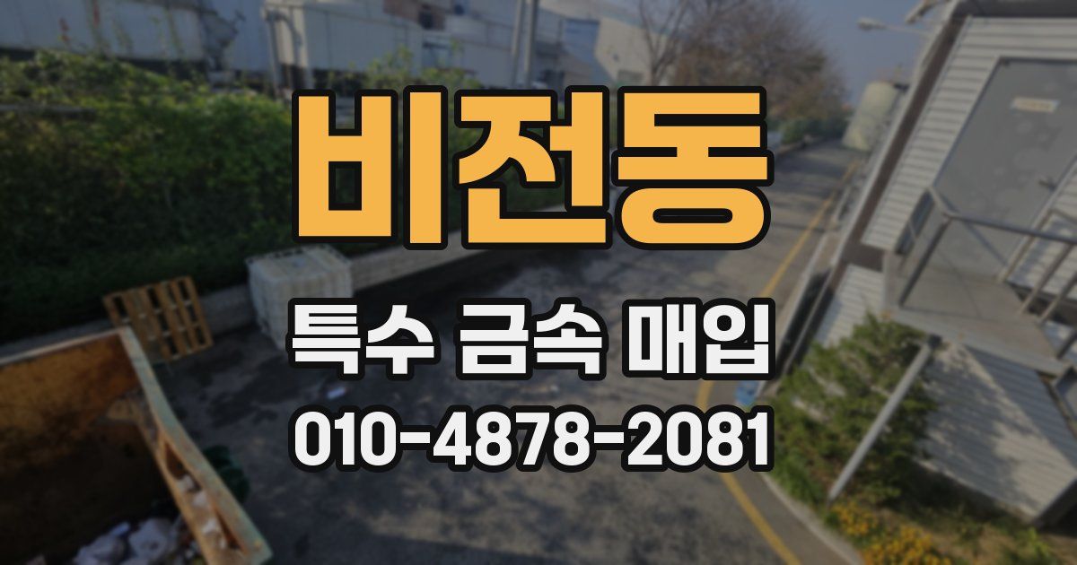 비전동 특수 금속 매입