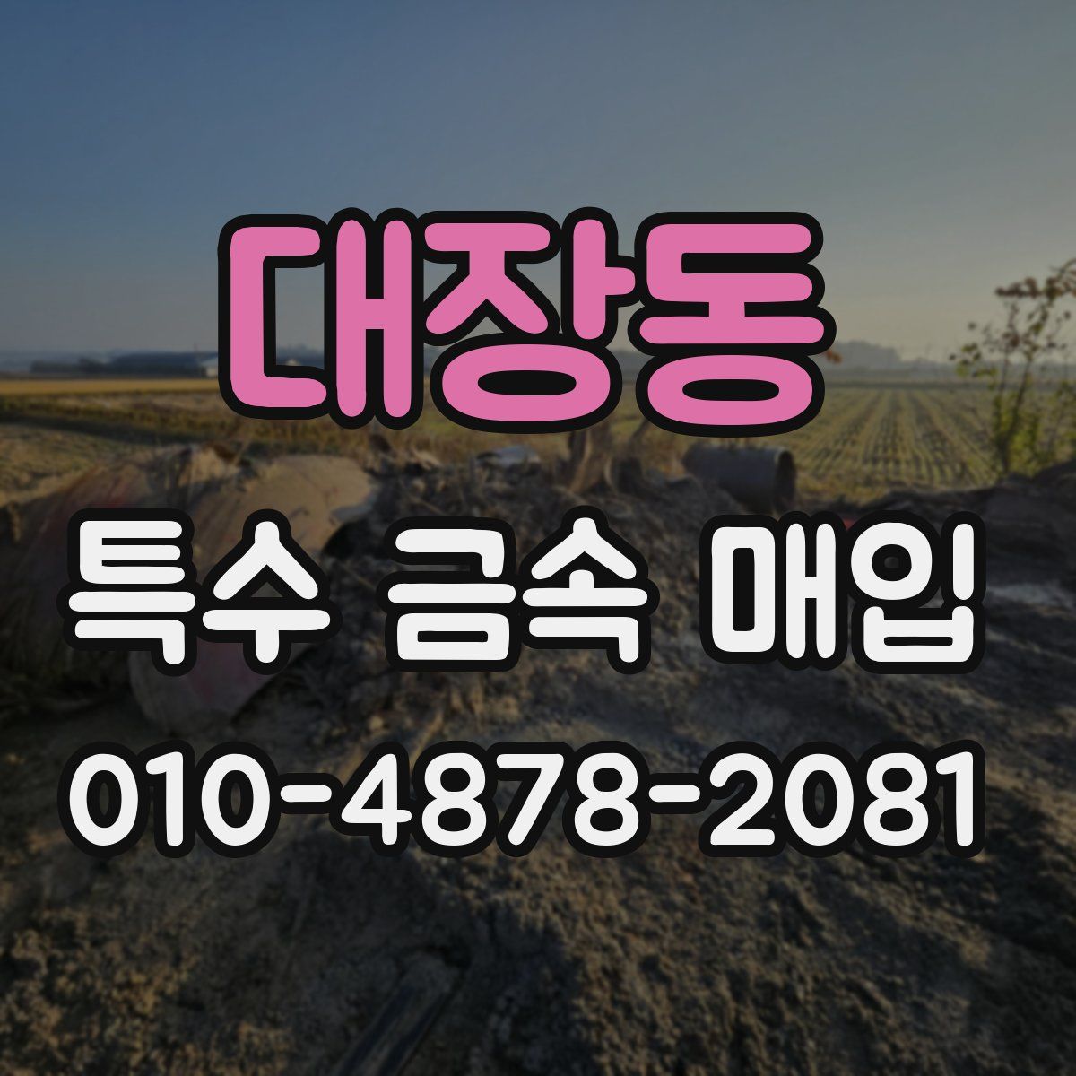 대장동 특수 금속 매입