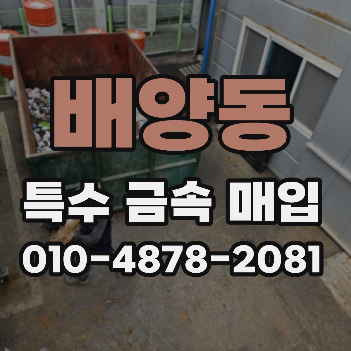 배양동 특수 금속 매입