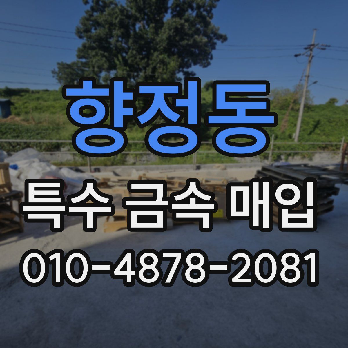 향정동 특수 금속 매입