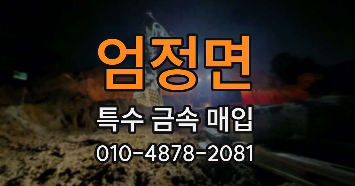 엄정면 특수 금속 매입