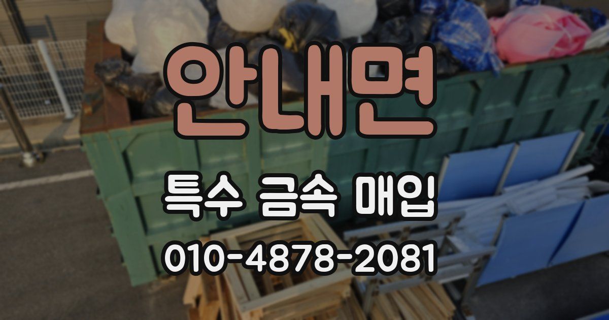 안내면 특수 금속 매입
