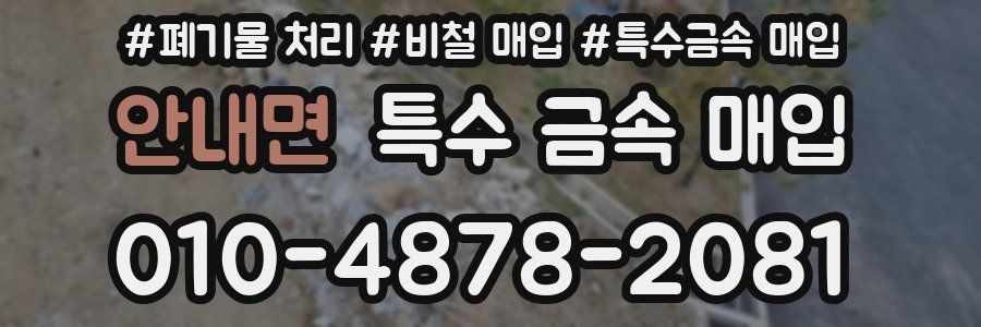 안내면 특수 금속 매입