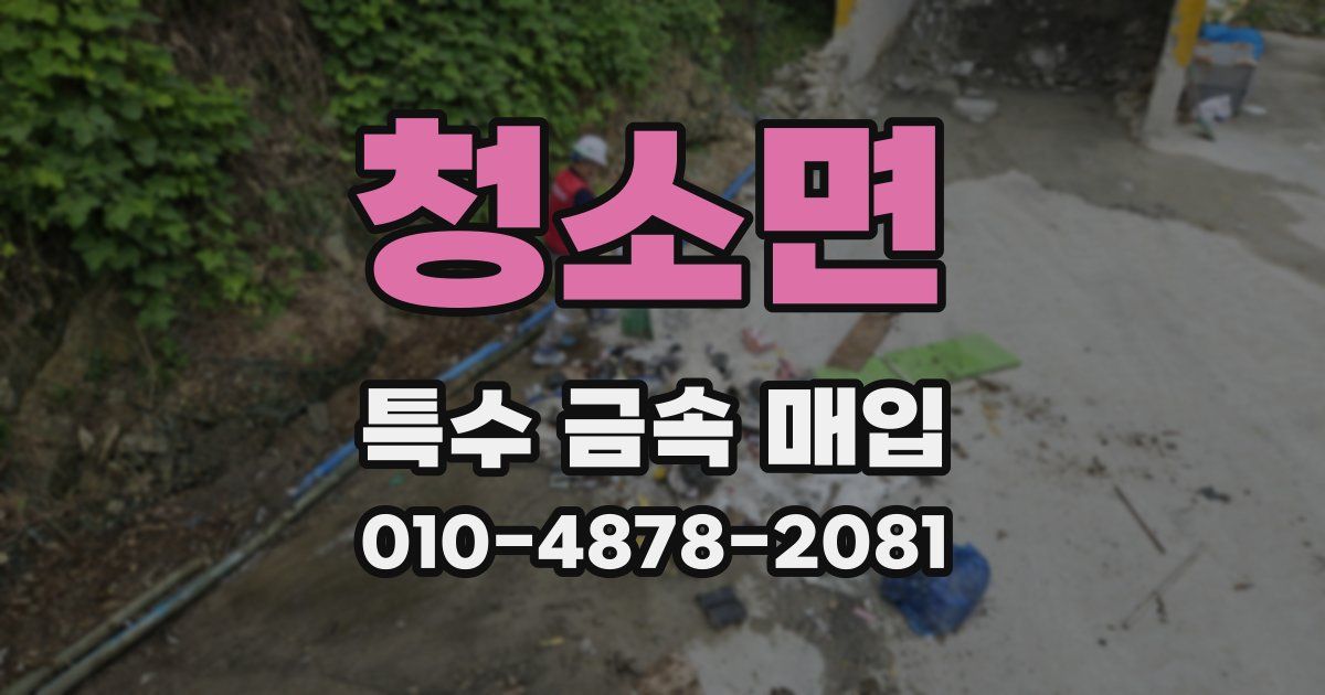 청소면 특수 금속 매입