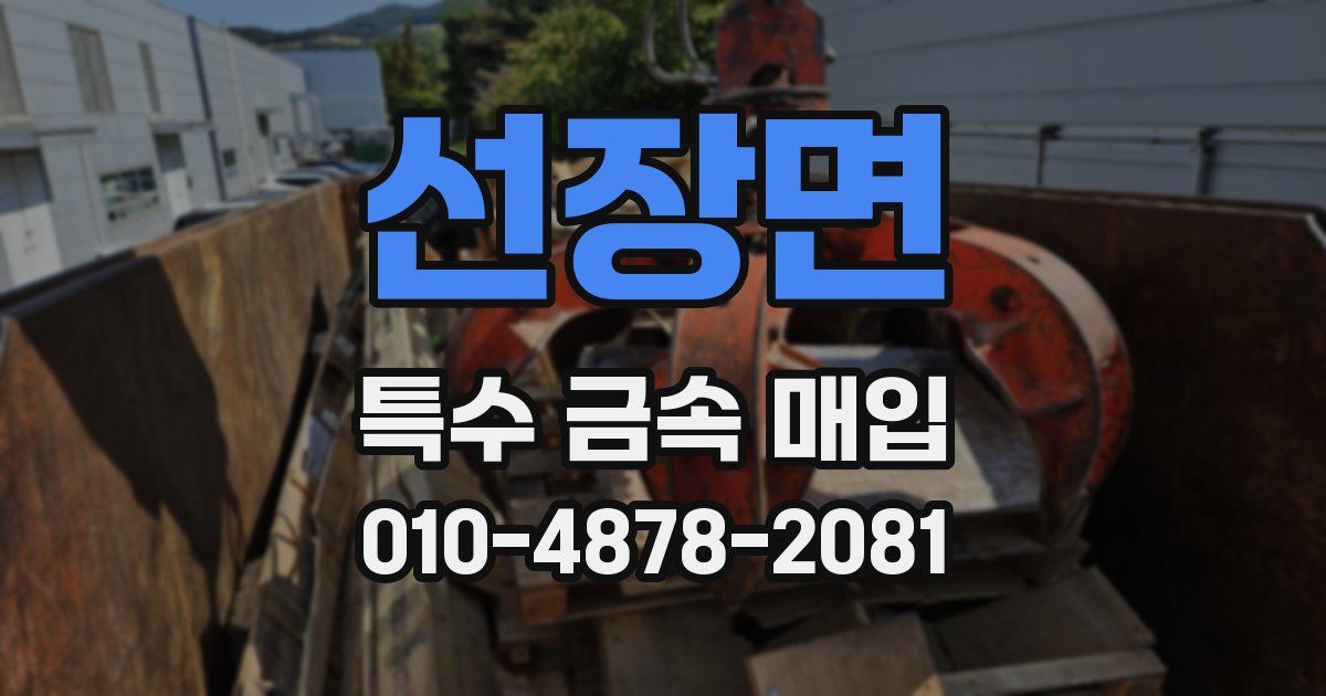 선장면 특수 금속 매입