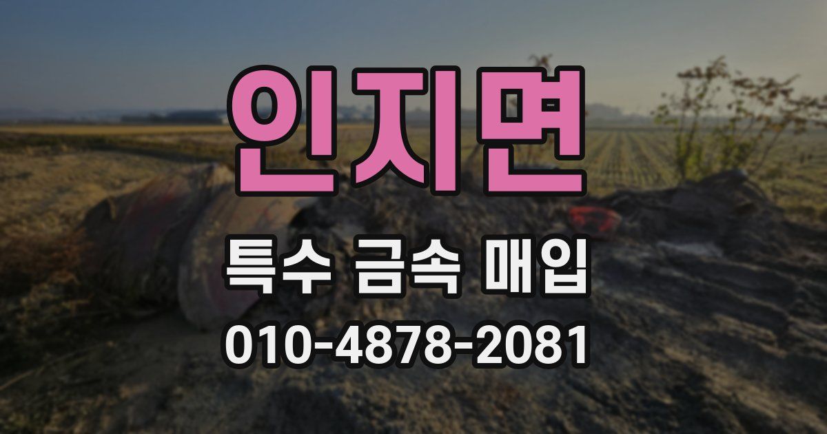 인지면 특수 금속 매입