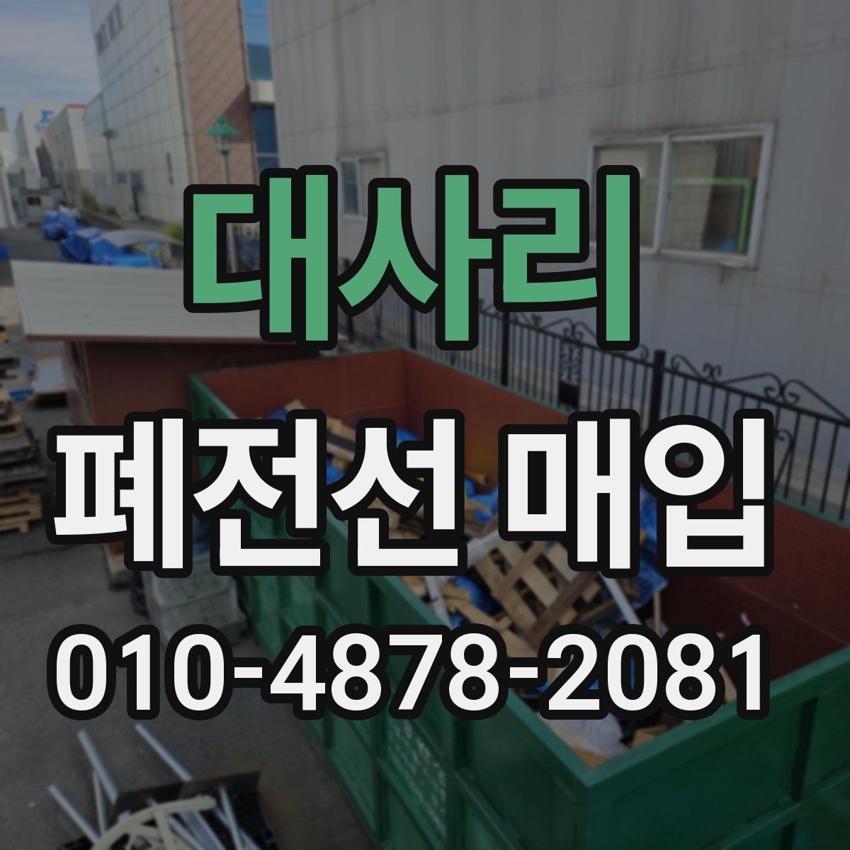 대사리 폐전선 매입