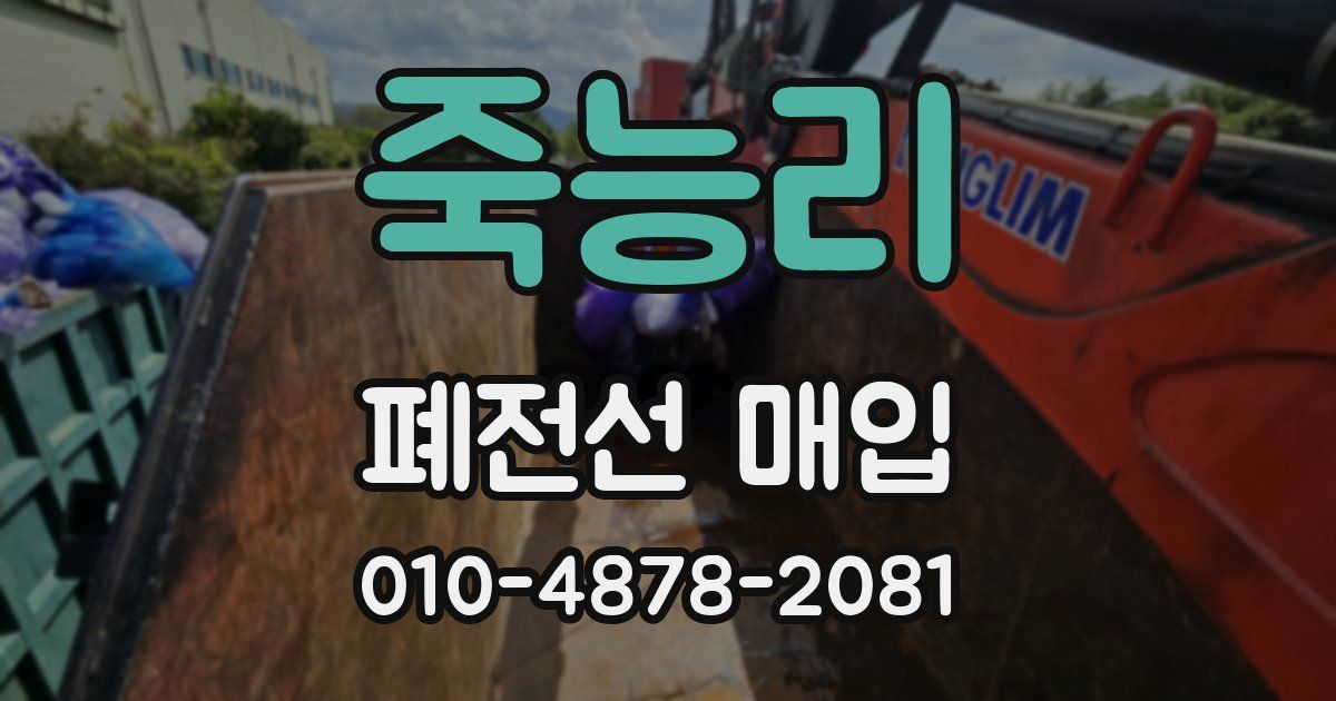 죽능리 폐전선 매입