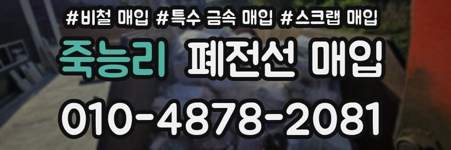 죽능리 폐전선 매입