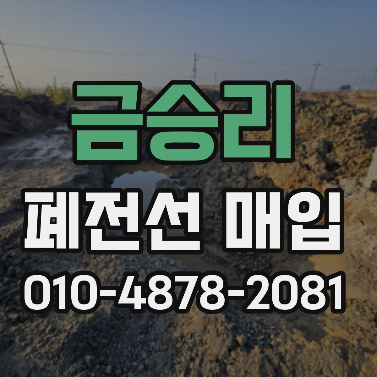 금승리 폐전선 매입