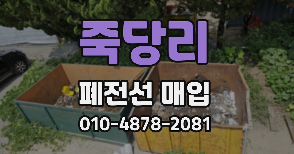 죽당리 폐전선 매입