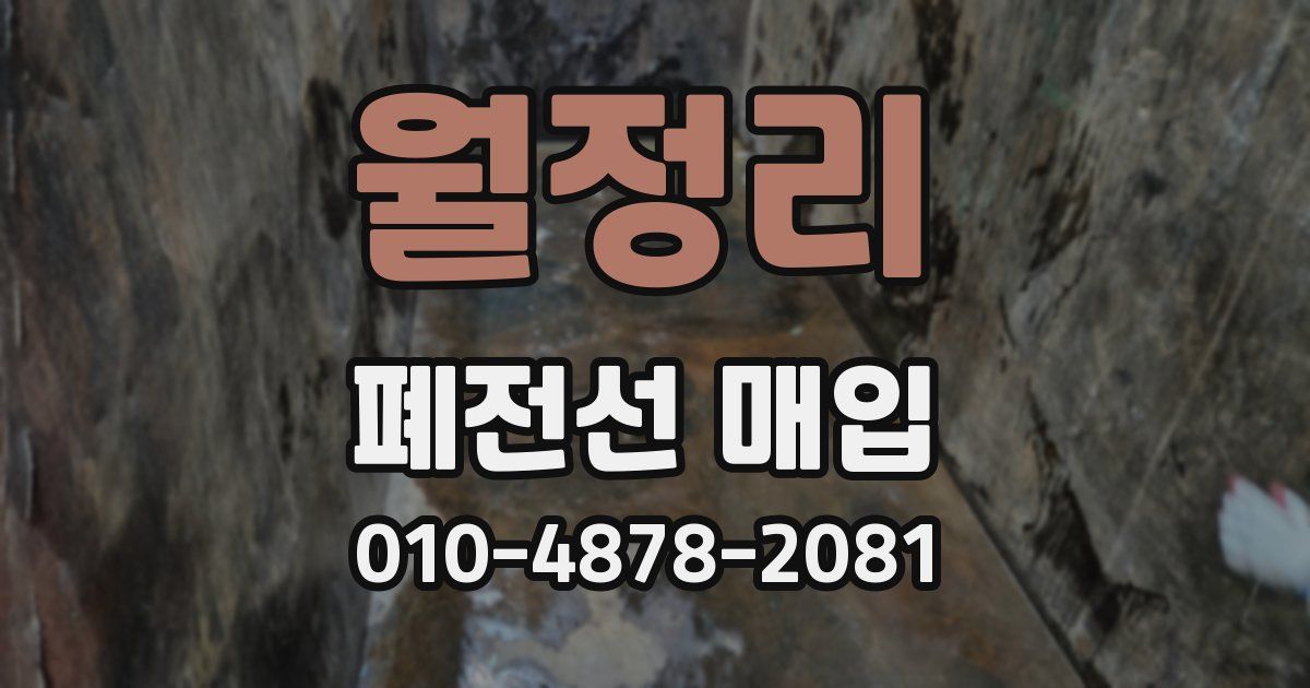 월정리 폐전선 매입