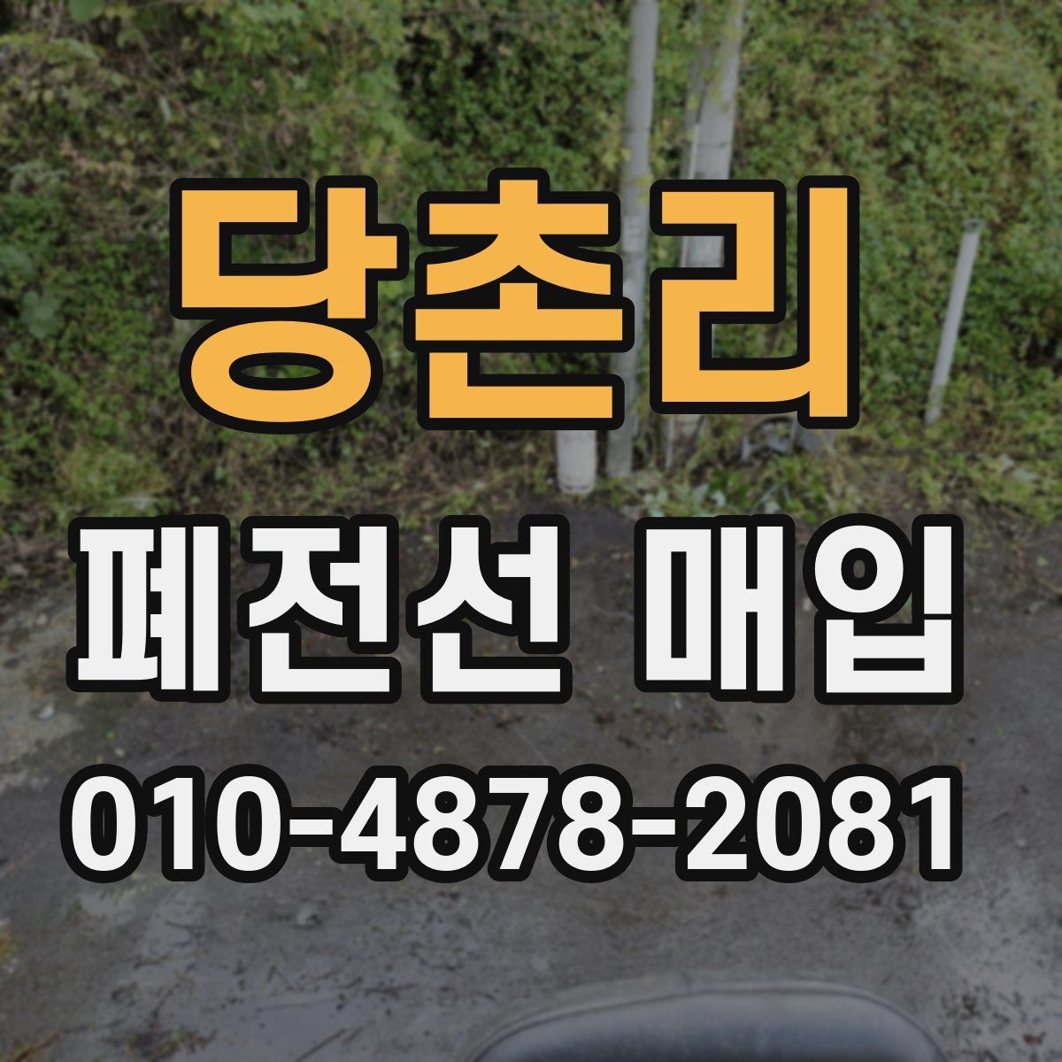 당촌리 폐전선 매입