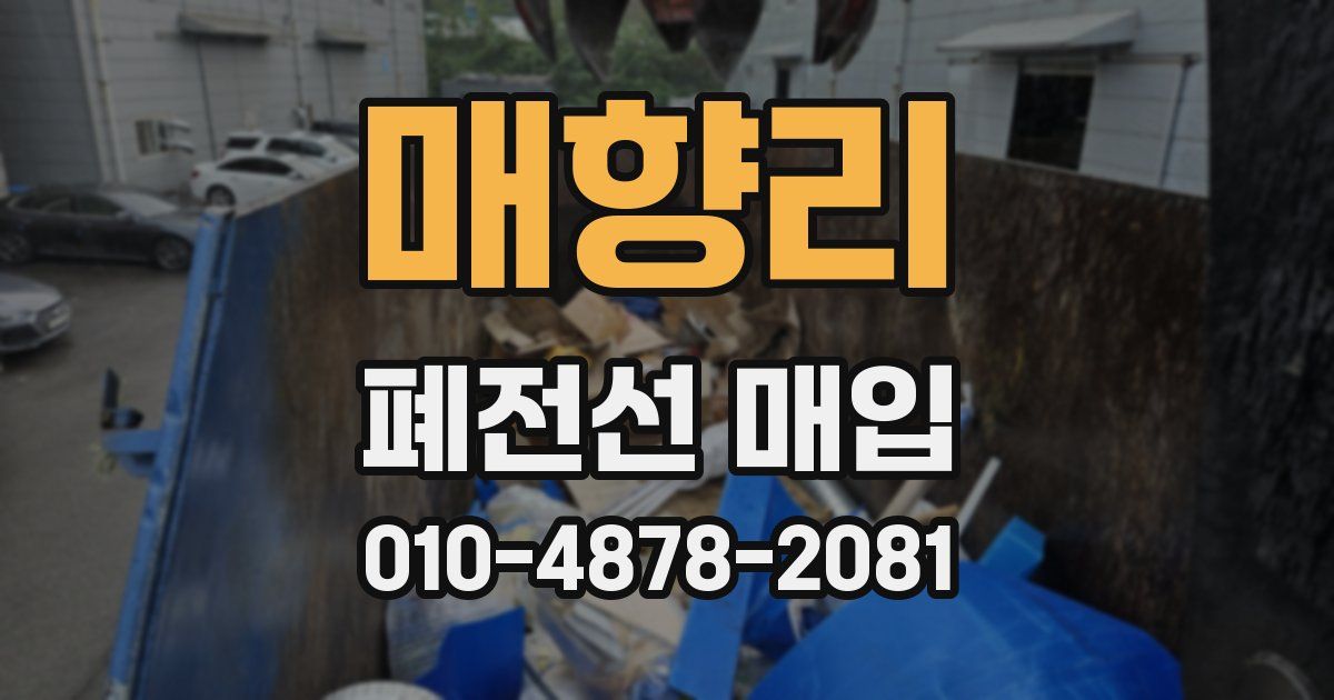매향리 폐전선 매입