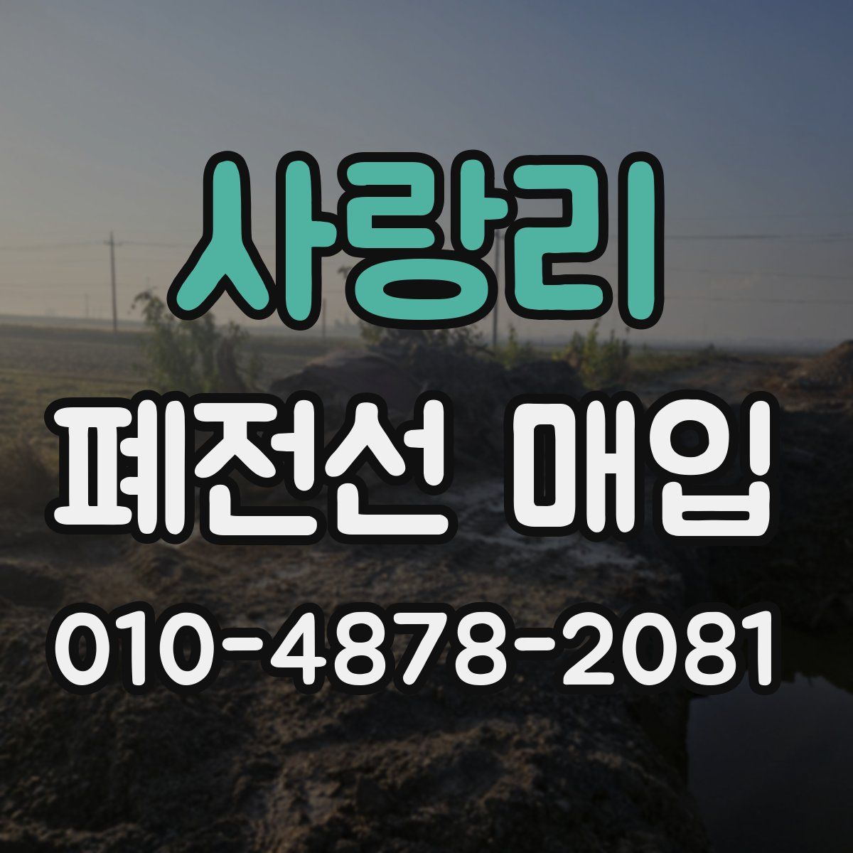사랑리 폐전선 매입