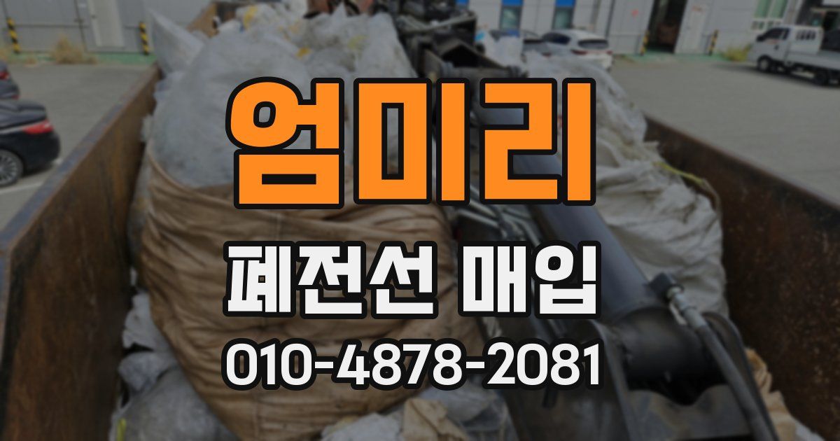 엄미리 폐전선 매입