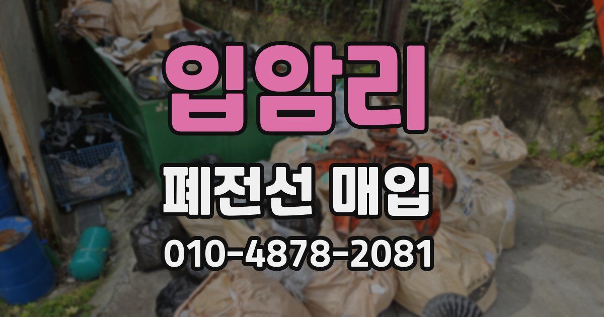 입암리 폐전선 매입