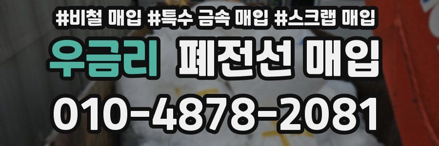 우금리 폐전선 매입