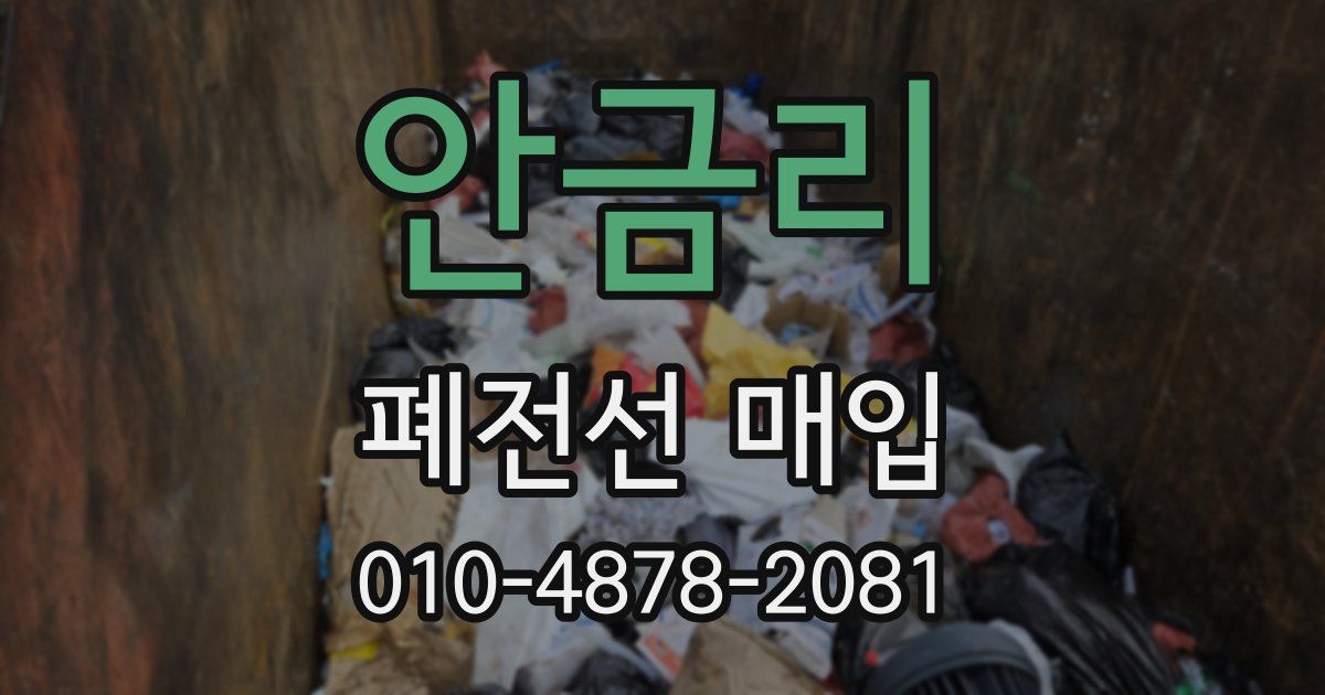 안금리 폐전선 매입