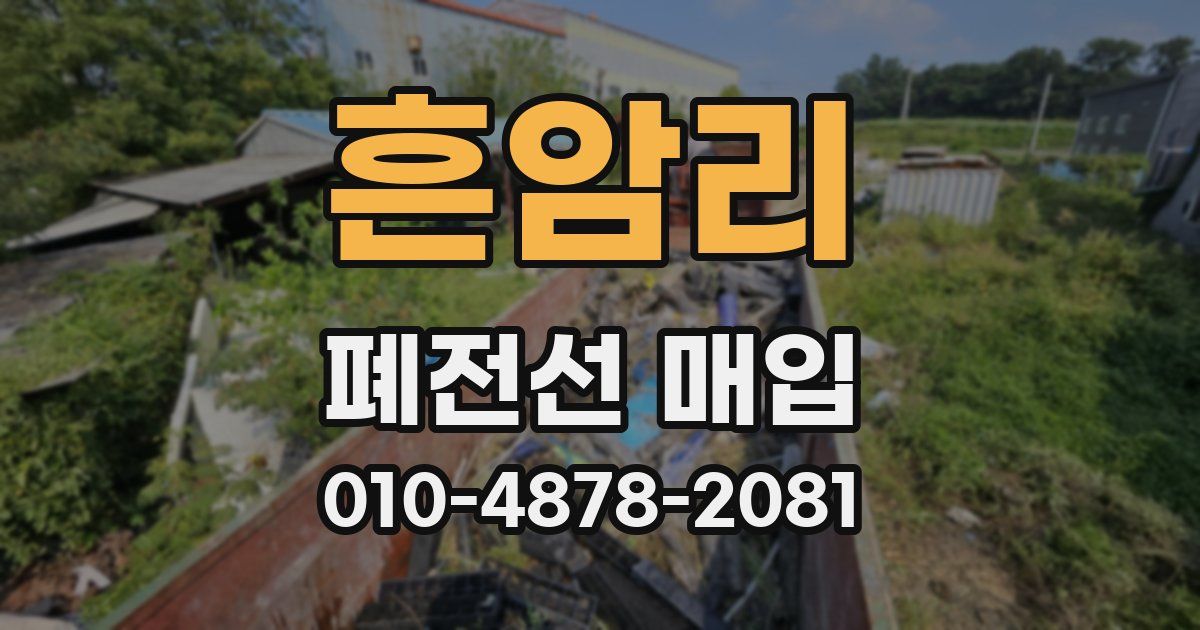 흔암리 폐전선 매입