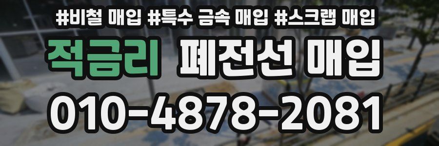 적금리 폐전선 매입