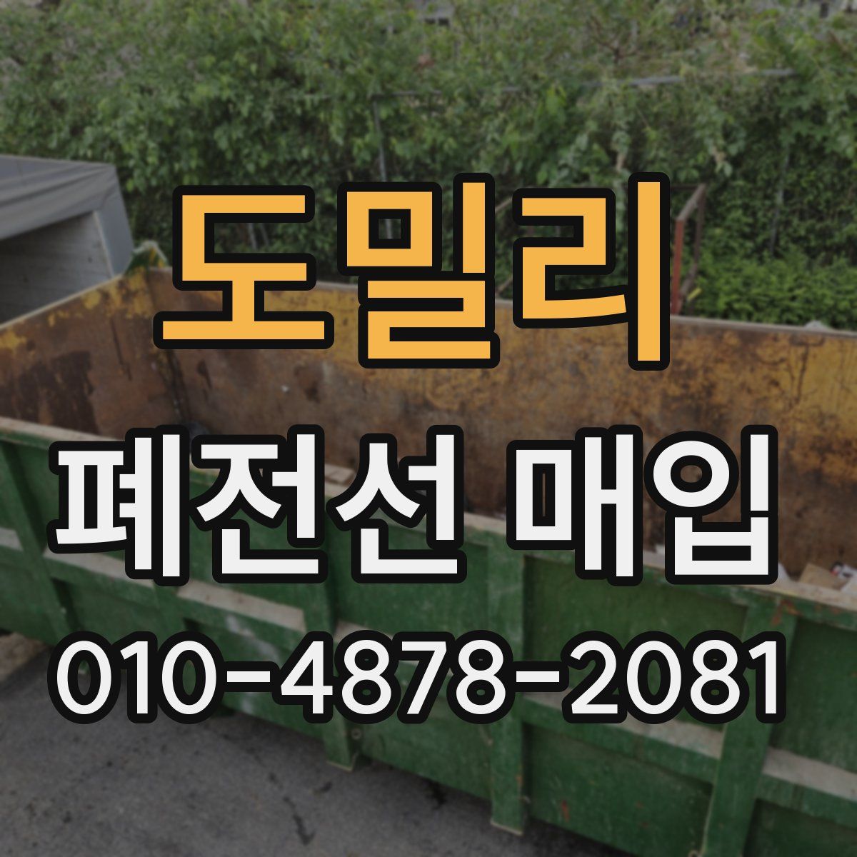 도밀리 폐전선 매입