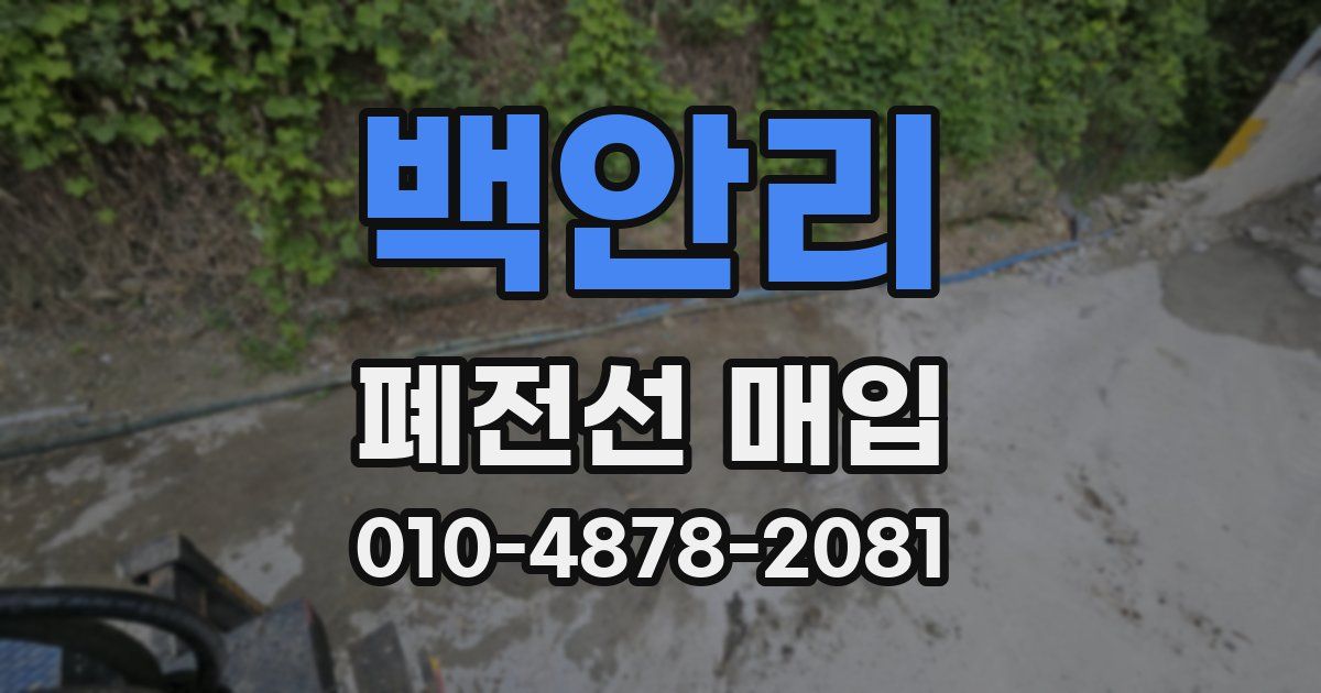 백안리 폐전선 매입