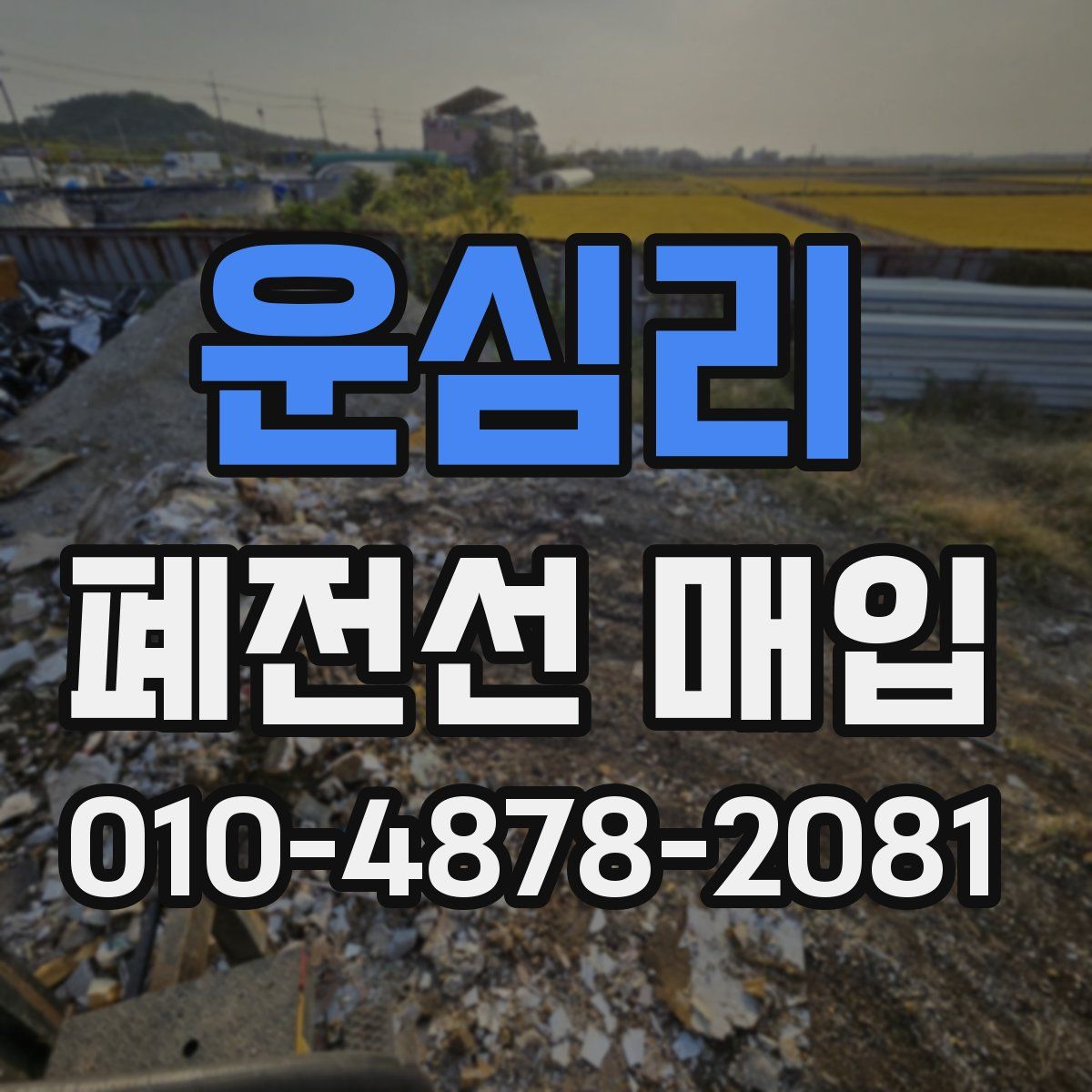 운심리 폐전선 매입
