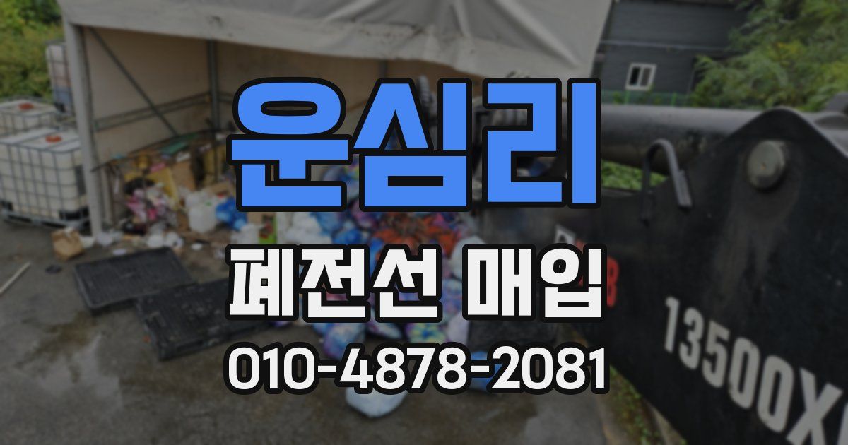운심리 폐전선 매입