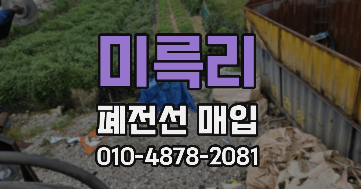 미륵리 폐전선 매입